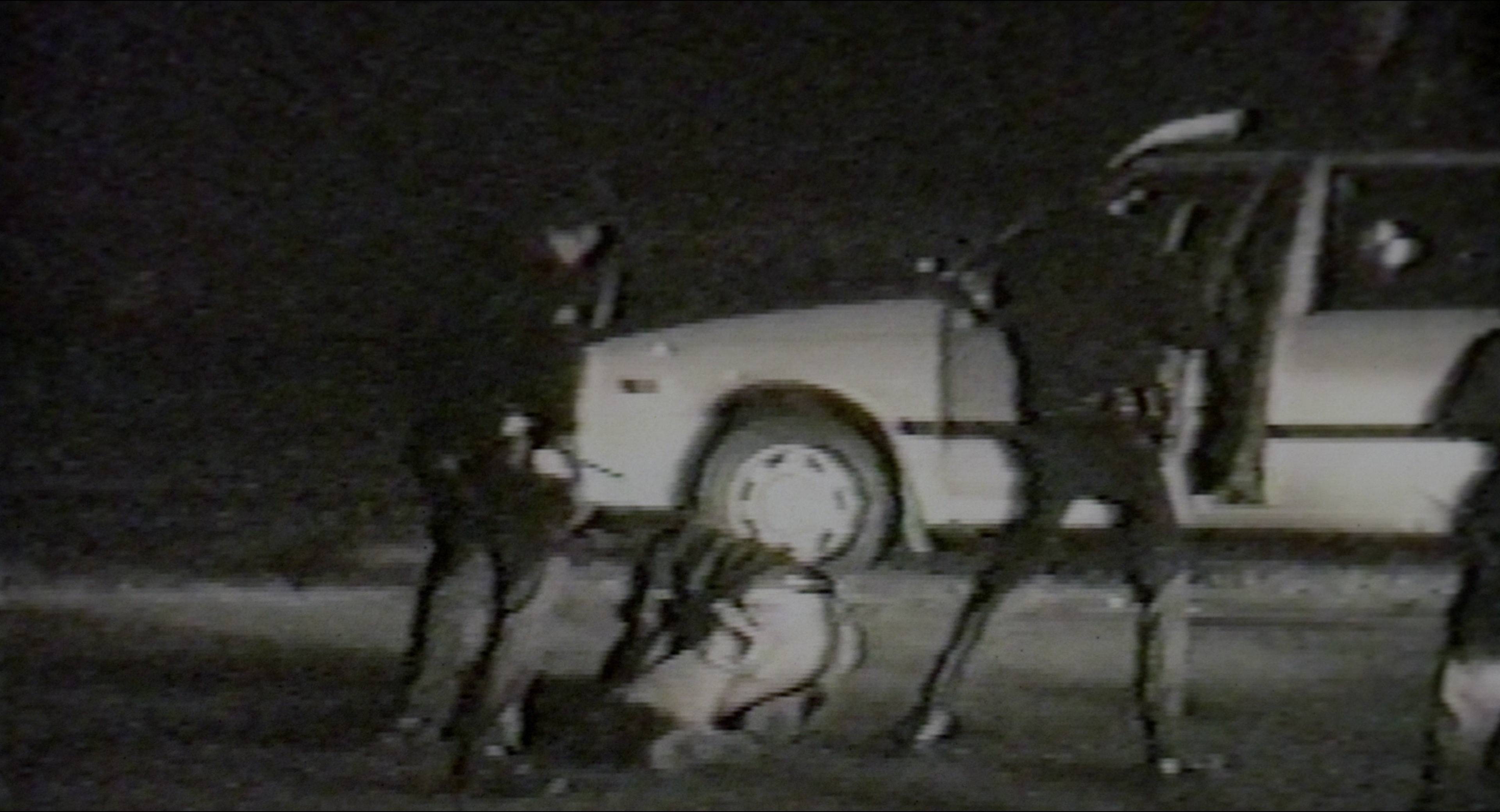 Malcolm (1992), wide, 1.85:1 — film still
