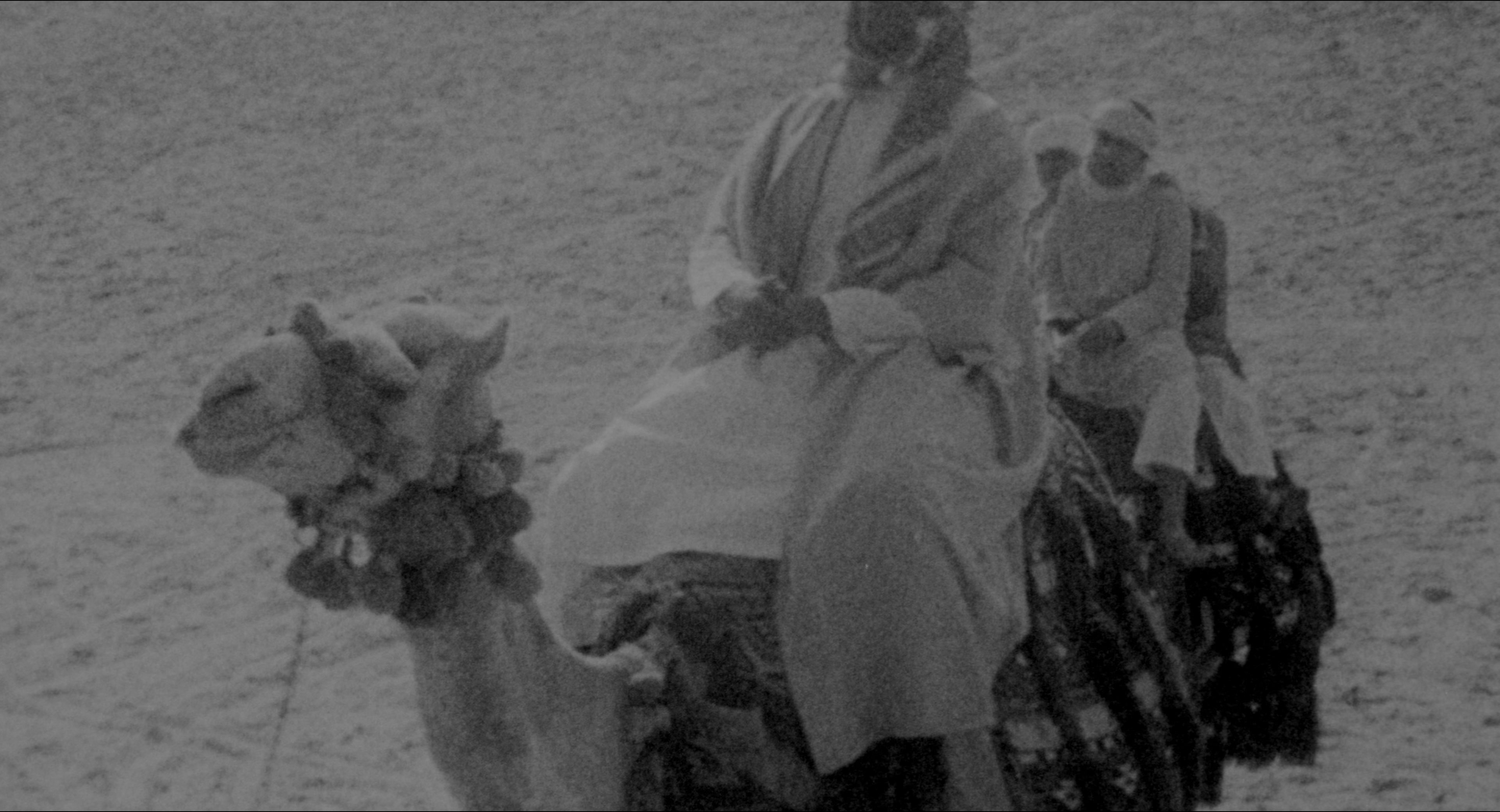 Malcolm (1992), wide, 1.85:1 — film still