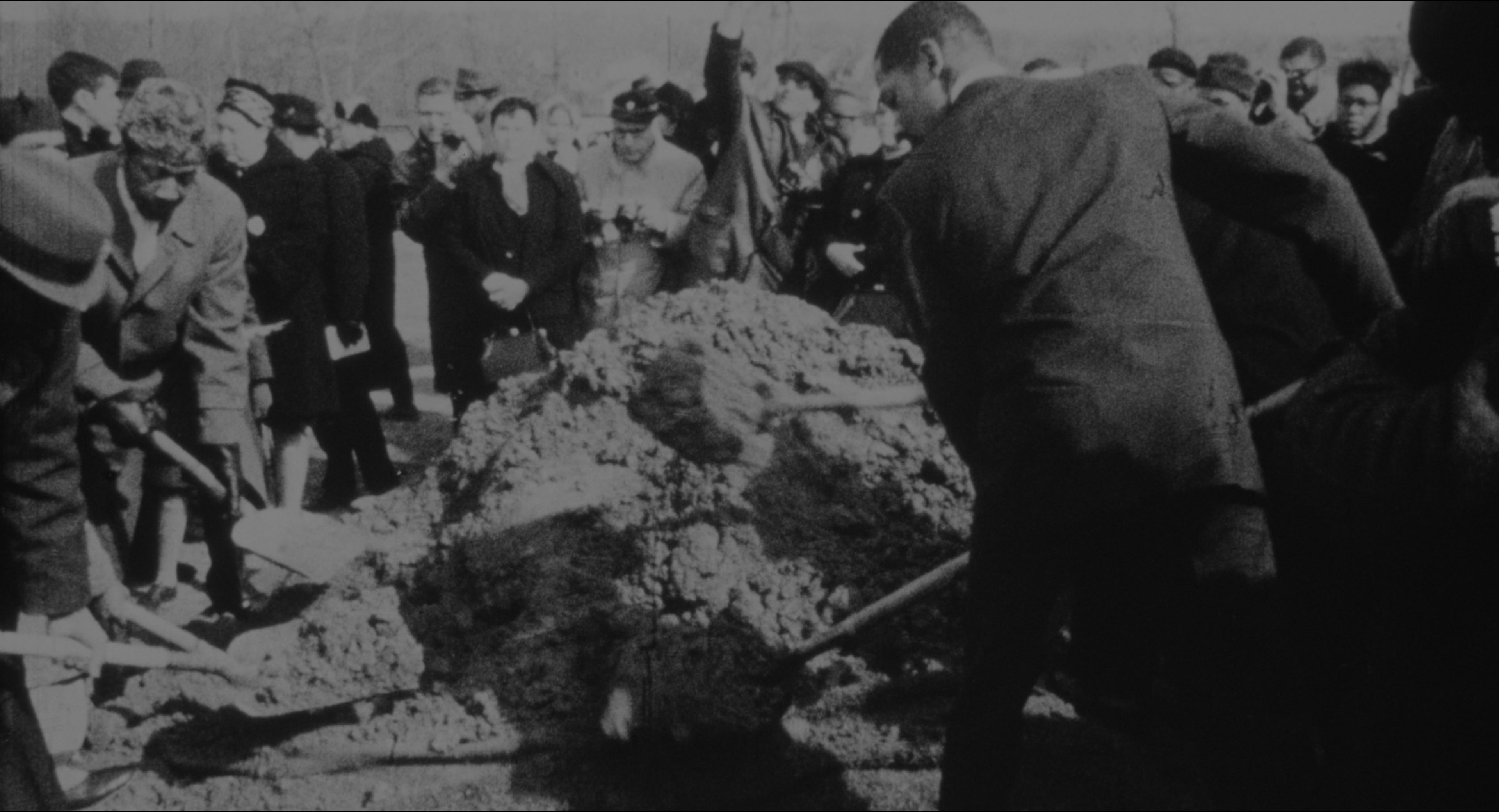 Malcolm (1992), wide, 1.85:1 — film still