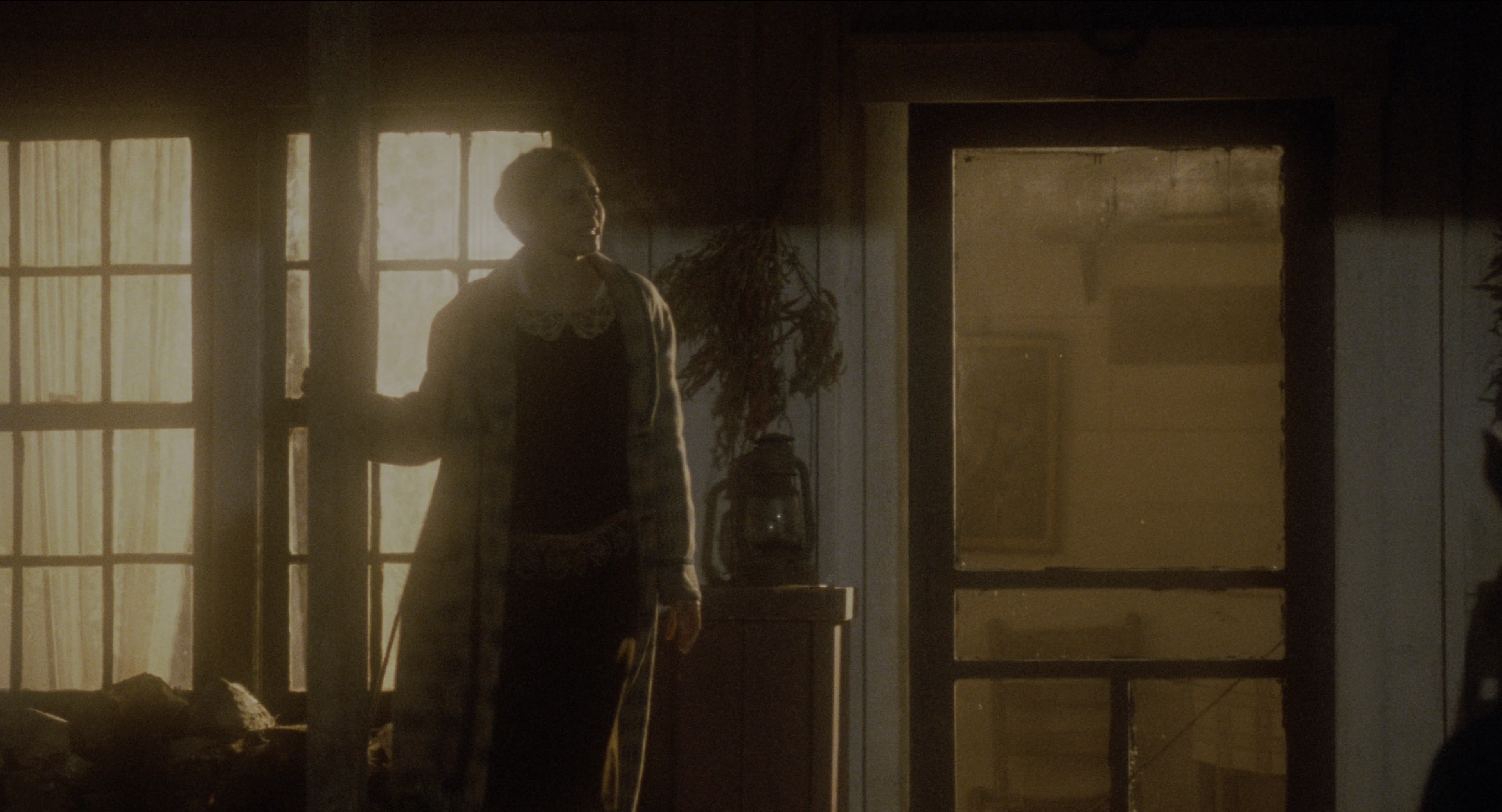 Malcolm (1992), wide, 1.85:1 — film still