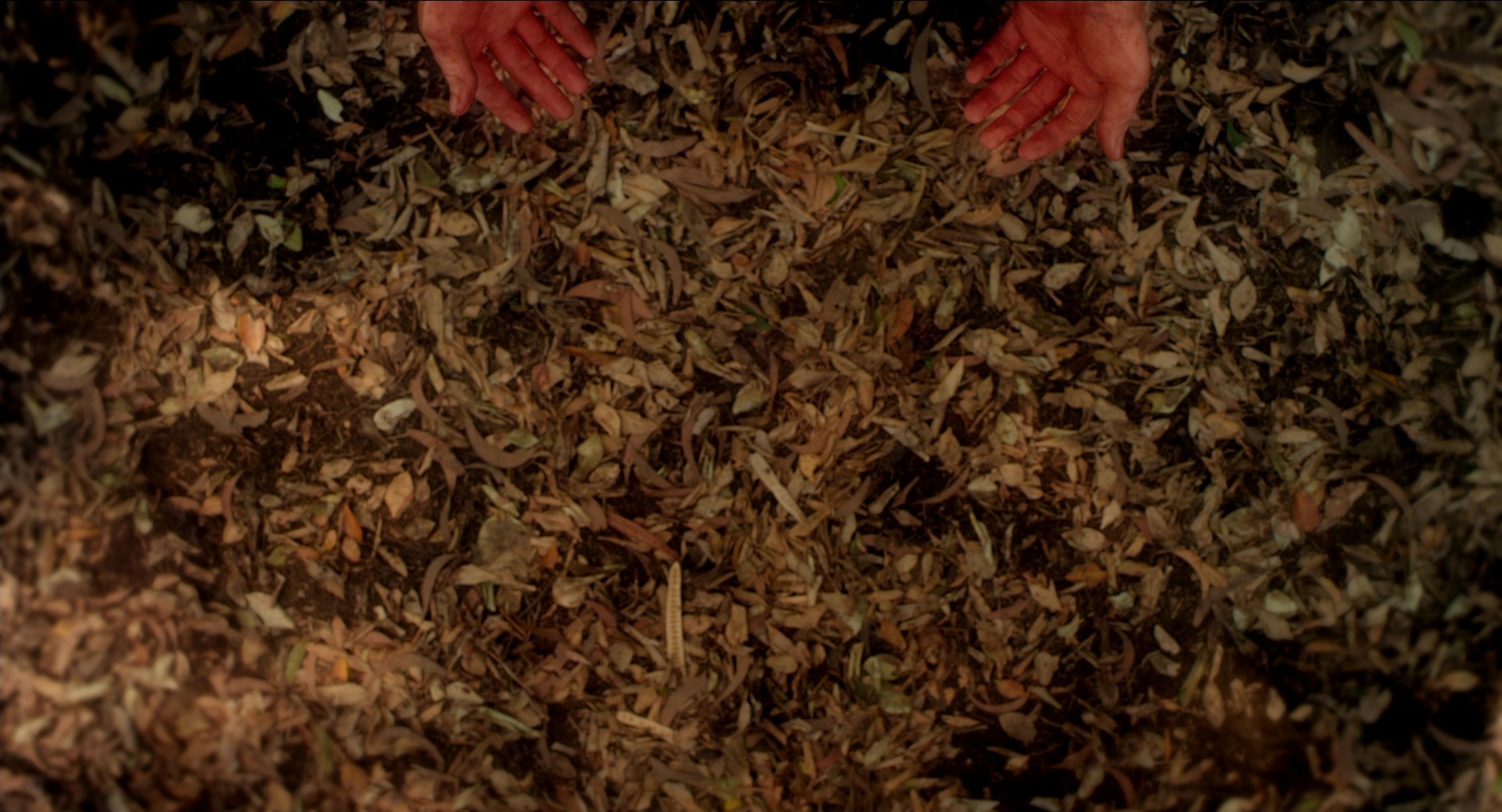 Only God Forgives (2012), wide, 1.85:1 — film still