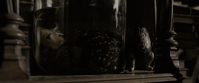 Wide shot frame from The Conjuring: The Devil Made Me Do It — sitting, animal, glass