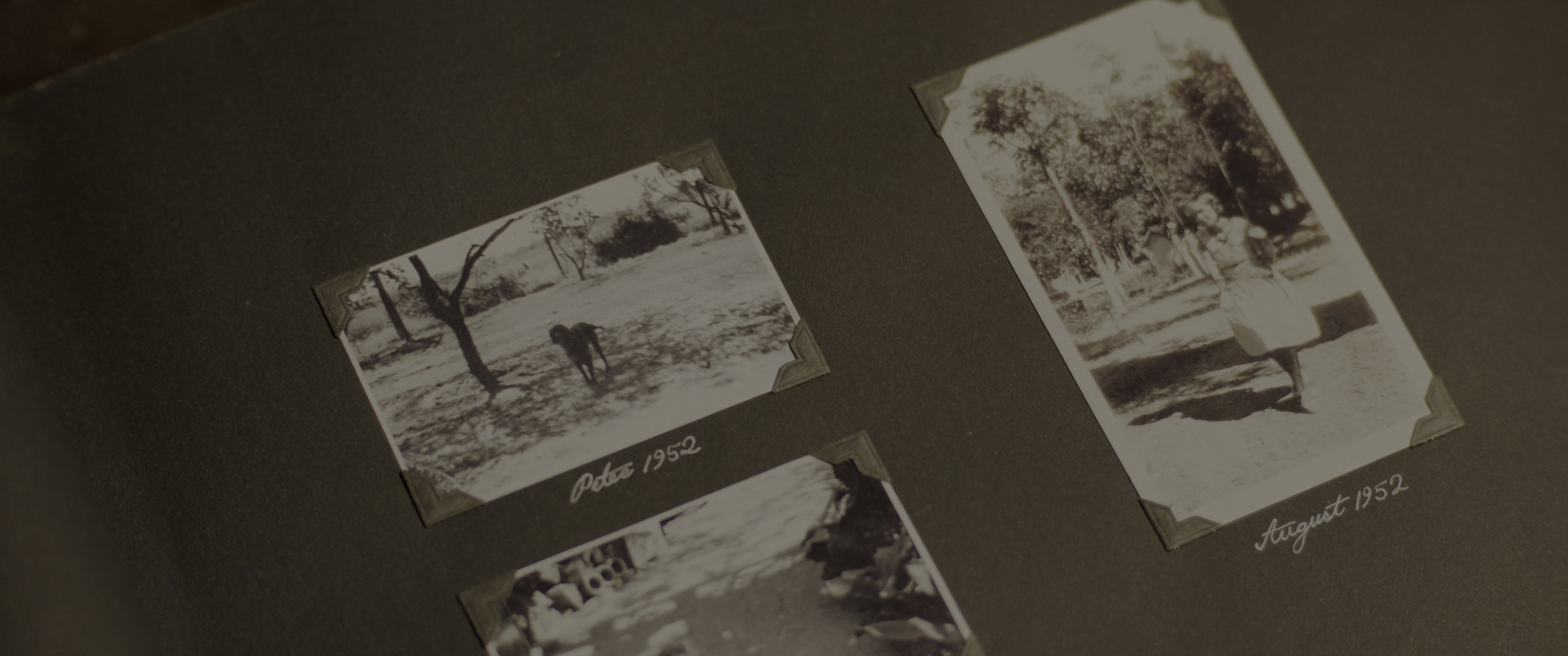 The Conjuring: The Devil Made Me Do It (2021), wide, 2.39:1 — film still