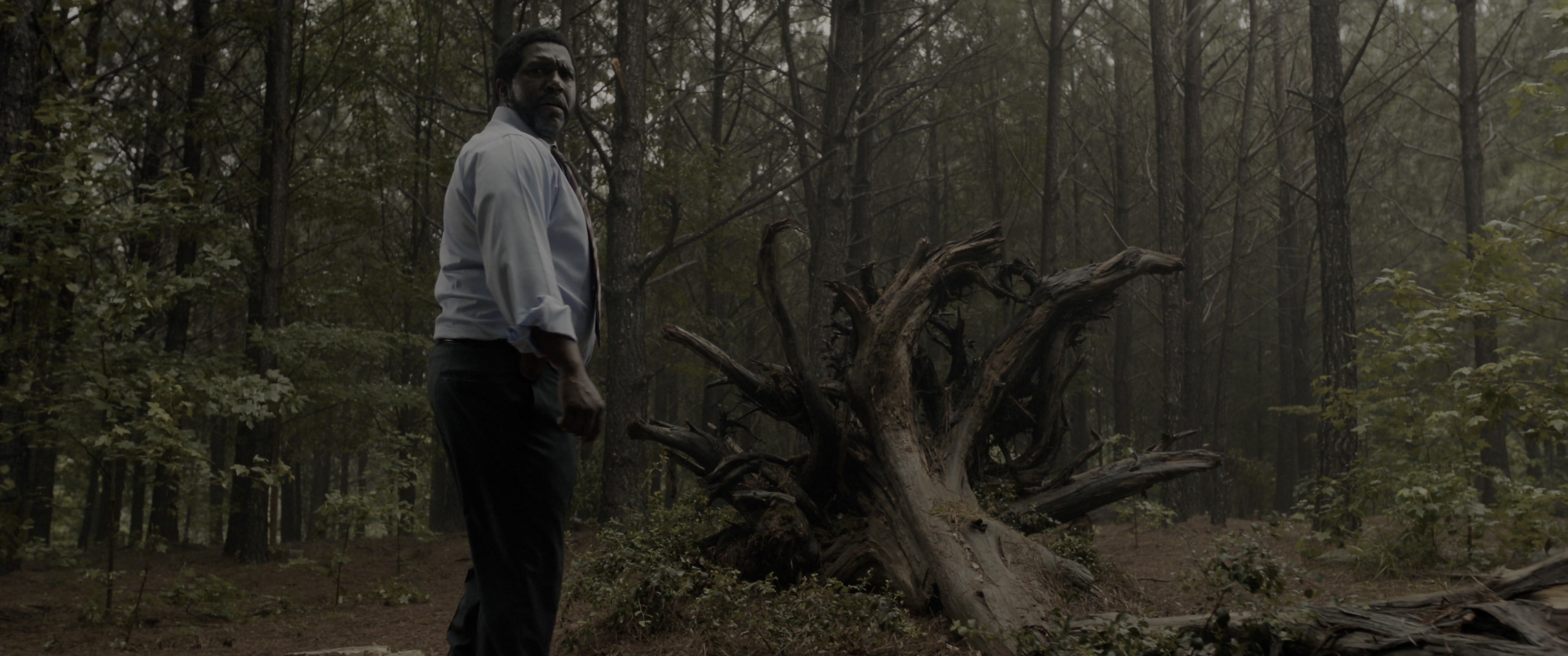 The Conjuring: The Devil Made Me Do It (2021), wide, 2.39:1 — film still