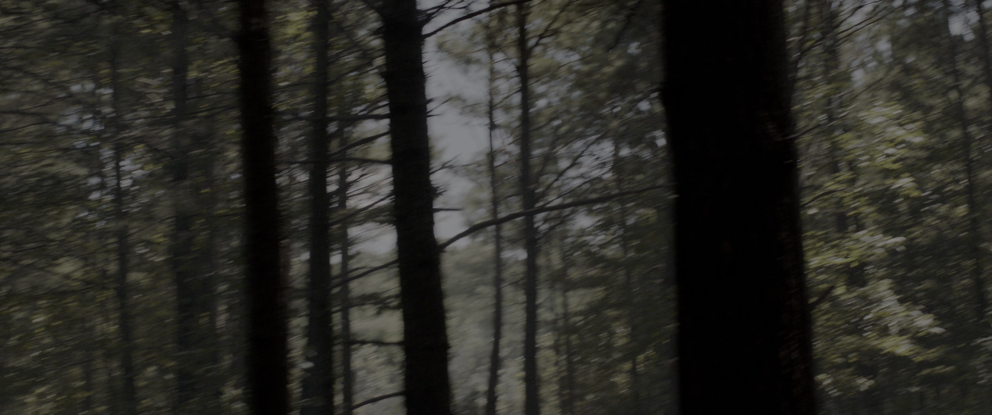 The Conjuring: The Devil Made Me Do It (2021), wide, 2.39:1 — film still