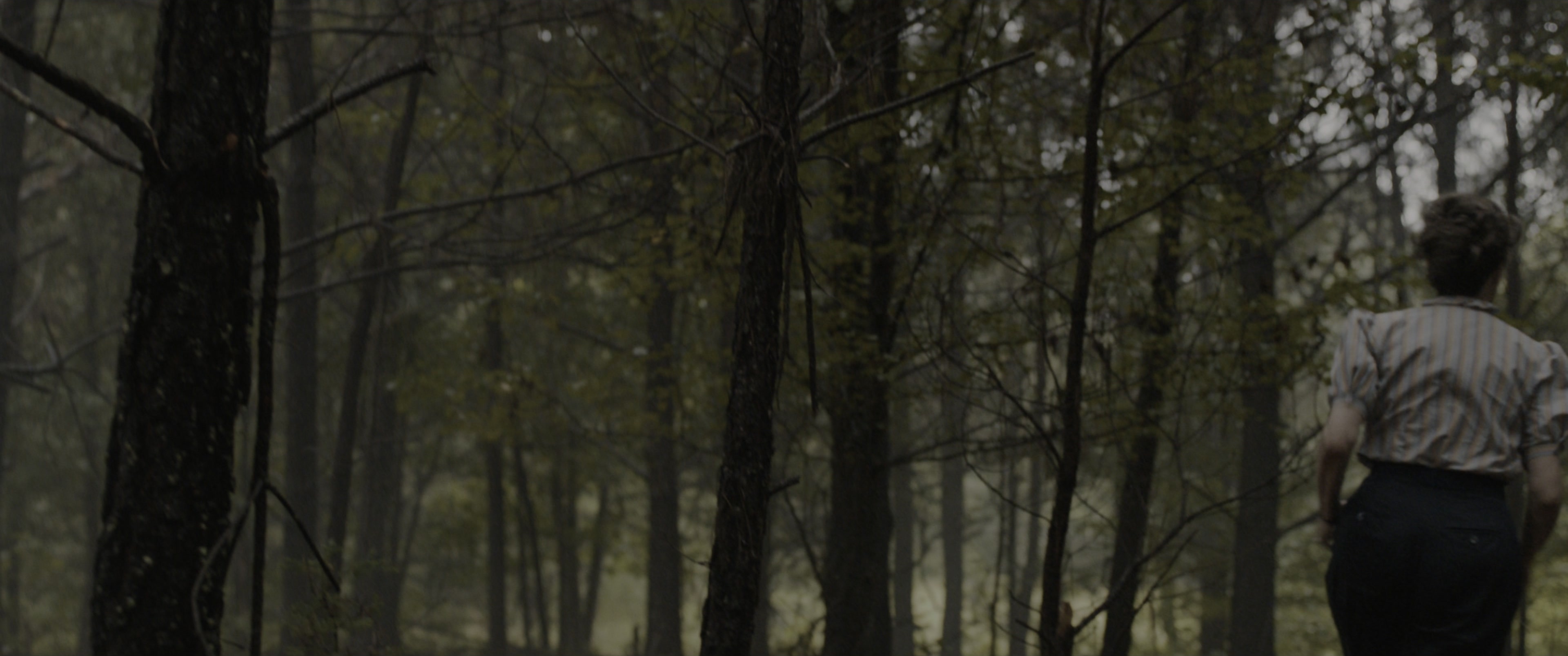 The Conjuring: The Devil Made Me Do It (2021), wide, 2.39:1 — film still