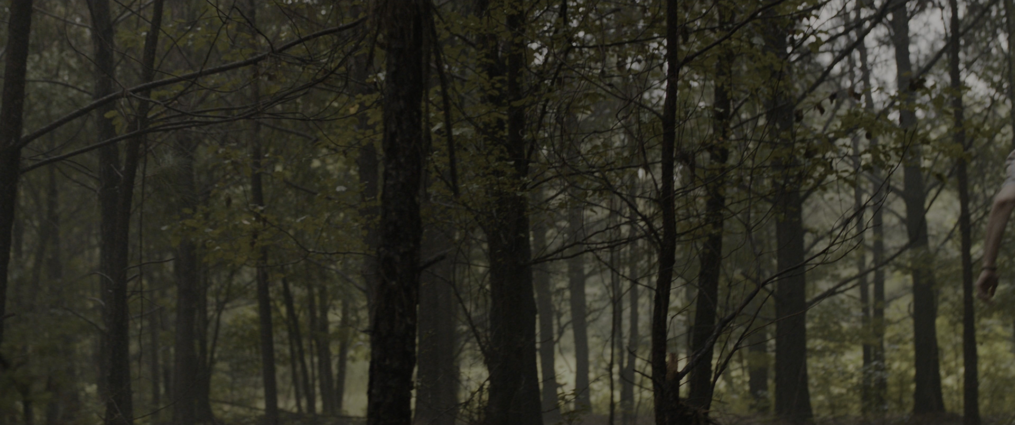The Conjuring: The Devil Made Me Do It (2021), wide, 2.39:1 — film still