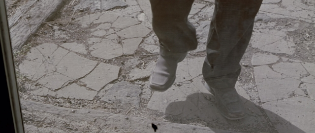 Wide shot frame from The World's Fastest Indian — walking, bird, person