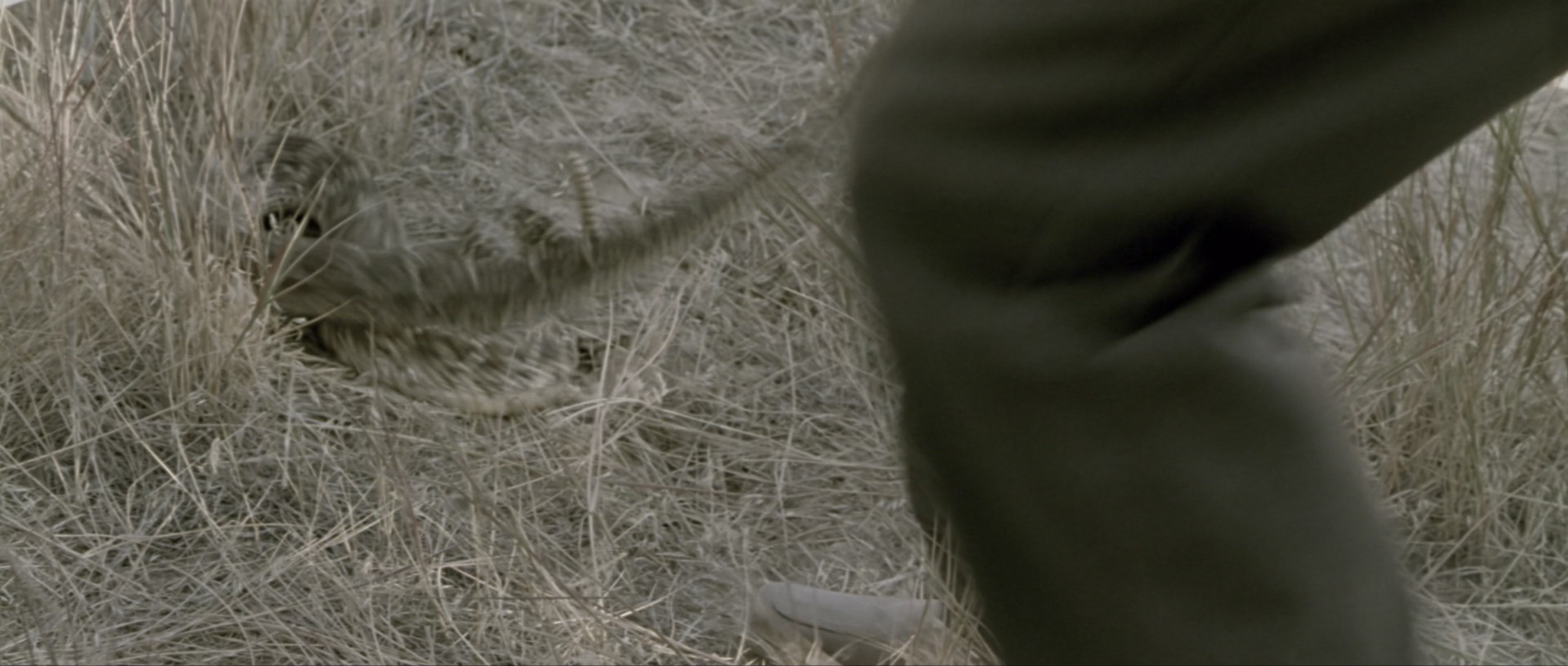 The World's Fastest Indian (2005), wide, 2.35:1 — film still