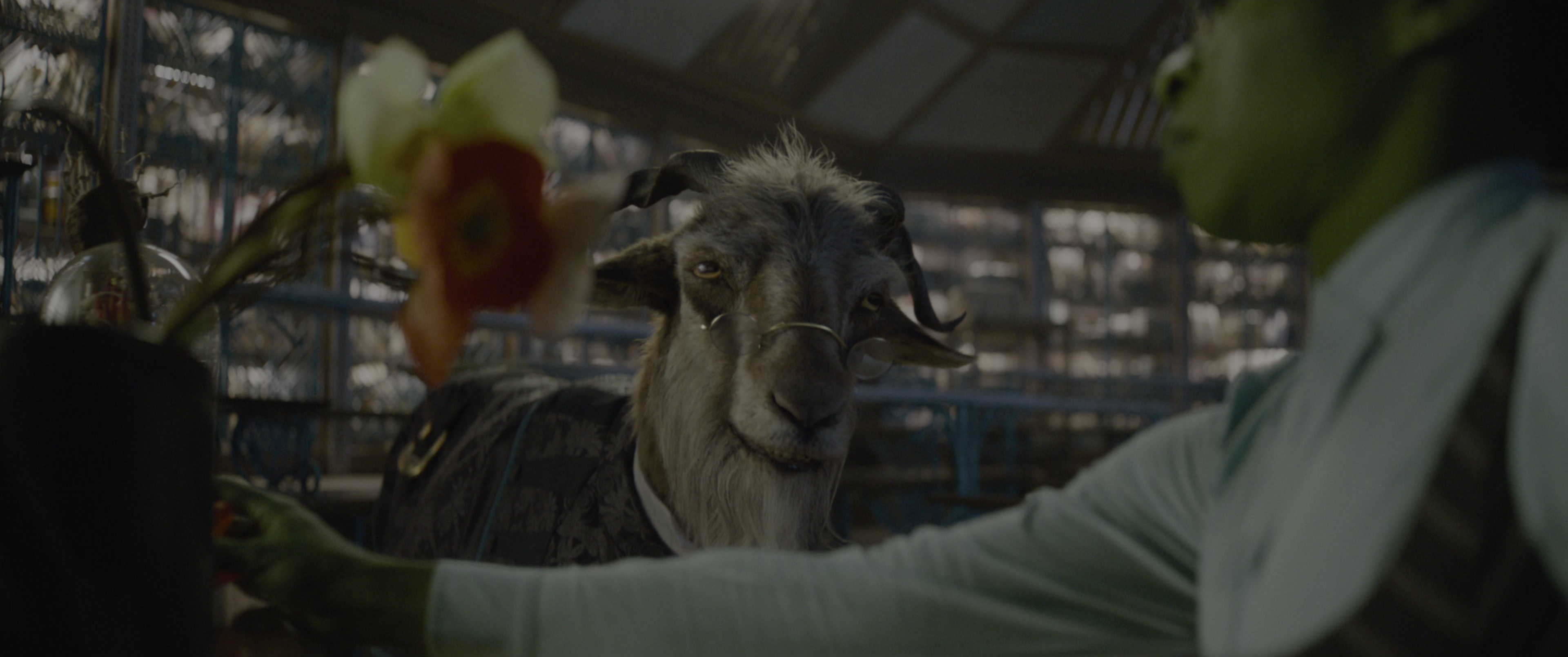 Wicked: Part I (2024), wide, 2.39:1 — film still