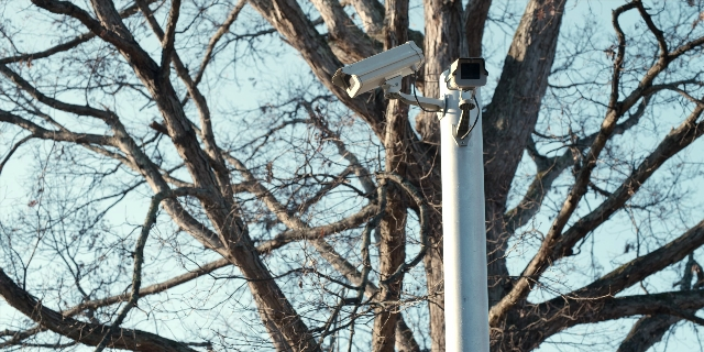 Wide shot frame from Stranger Things — camera