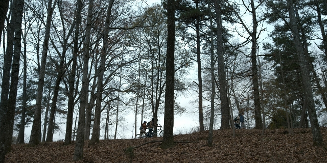 Wide shot frame from Stranger Things — bicycle, forest, person