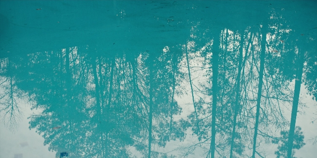 Wide shot frame from Stranger Things — mirror, water, willow