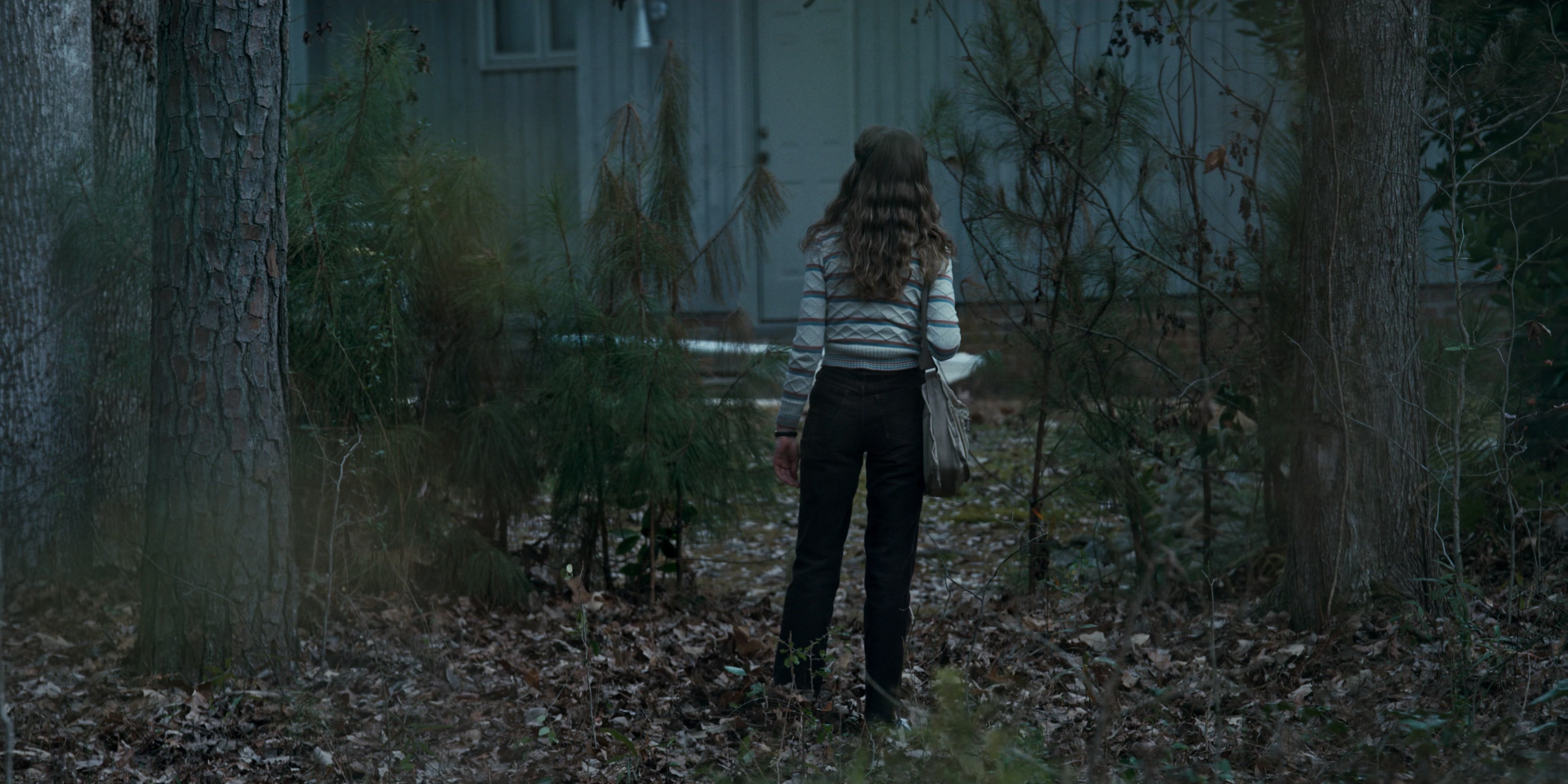 Stranger Things (2016), wide, 2.00:1 — film still