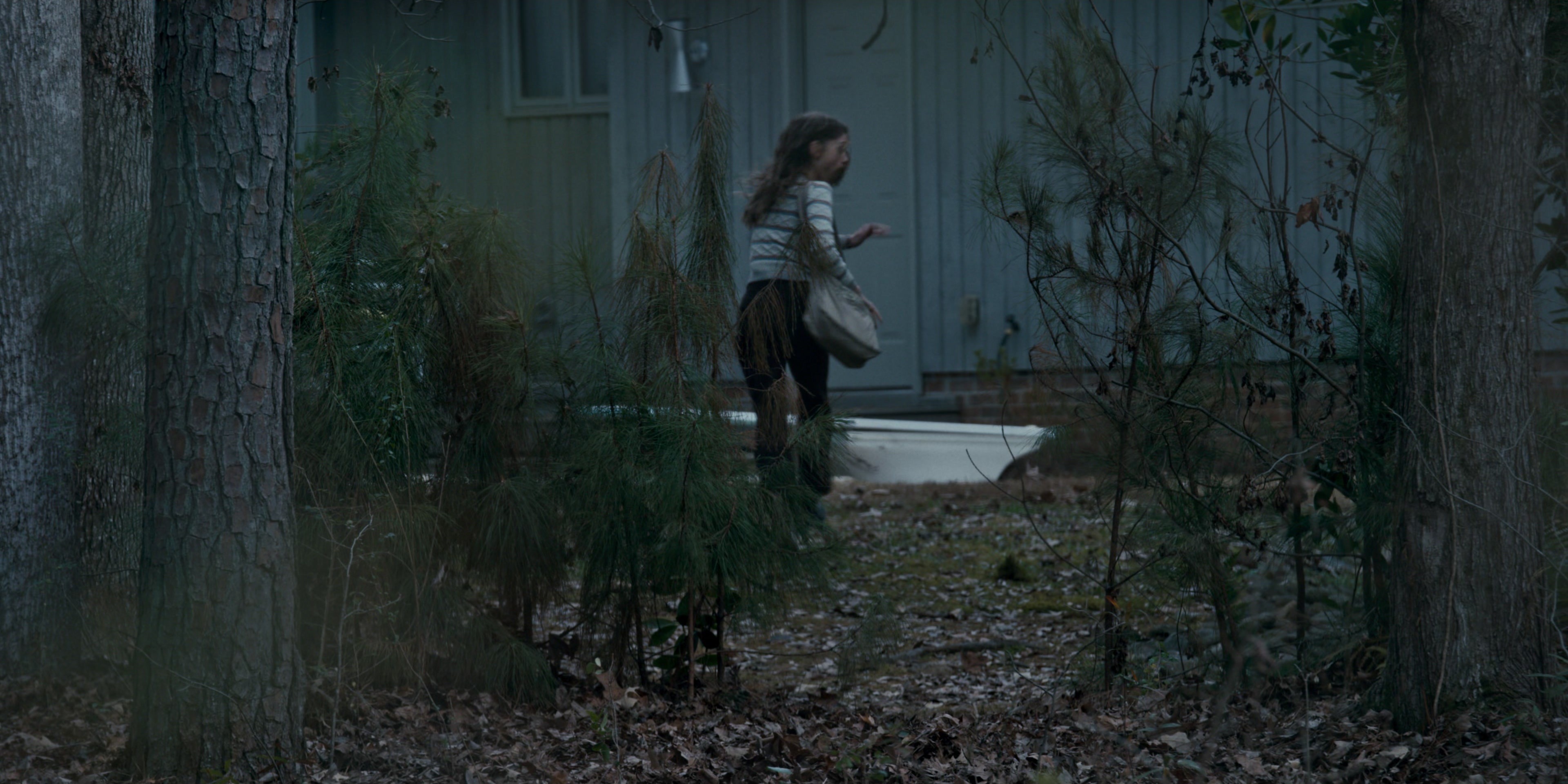 Stranger Things (2016), wide, 2.00:1 — film still