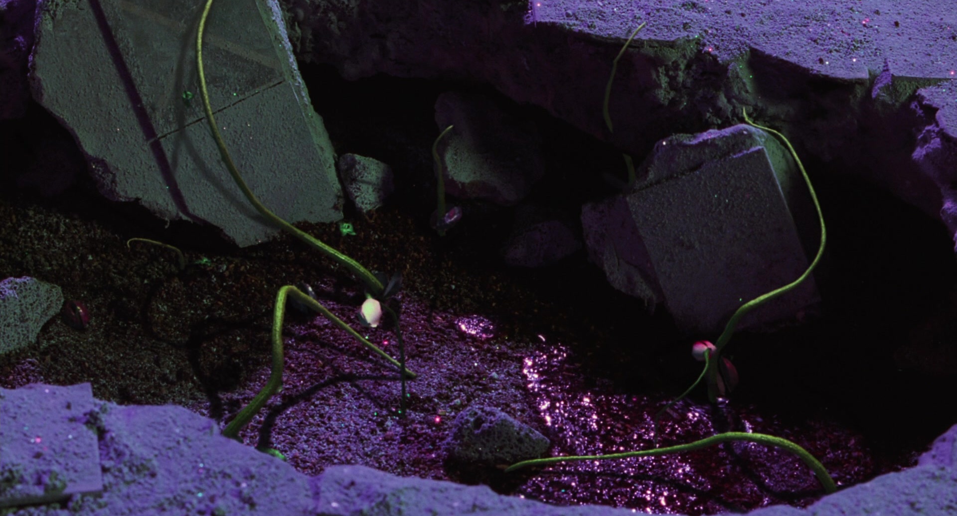 Batman & Robin (1997), wide, 1.85:1 — film still