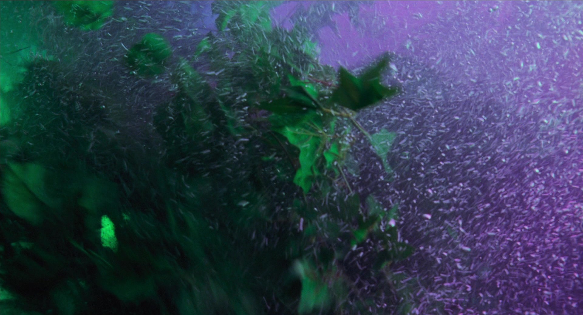 Batman & Robin (1997), wide, 1.85:1 — film still