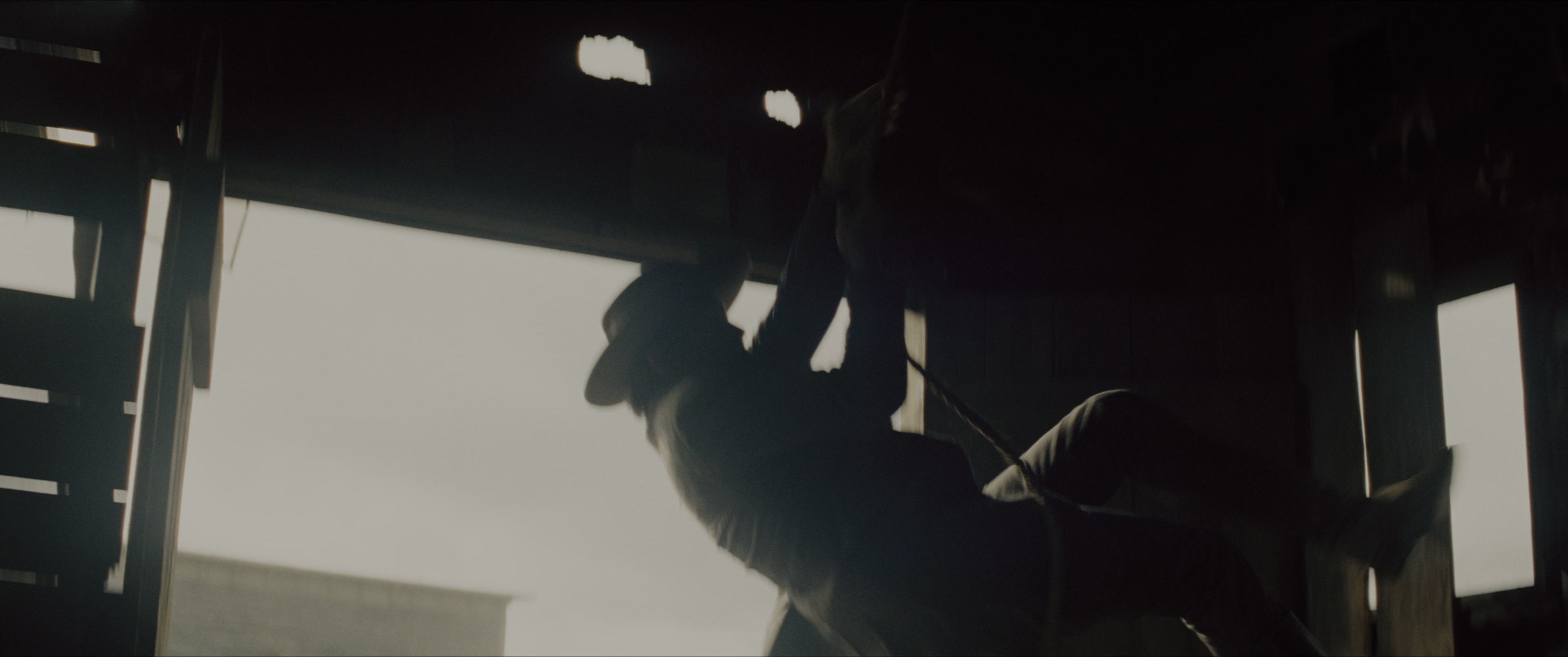 The Magnificent Seven (2016), wide, 2.39:1 — film still
