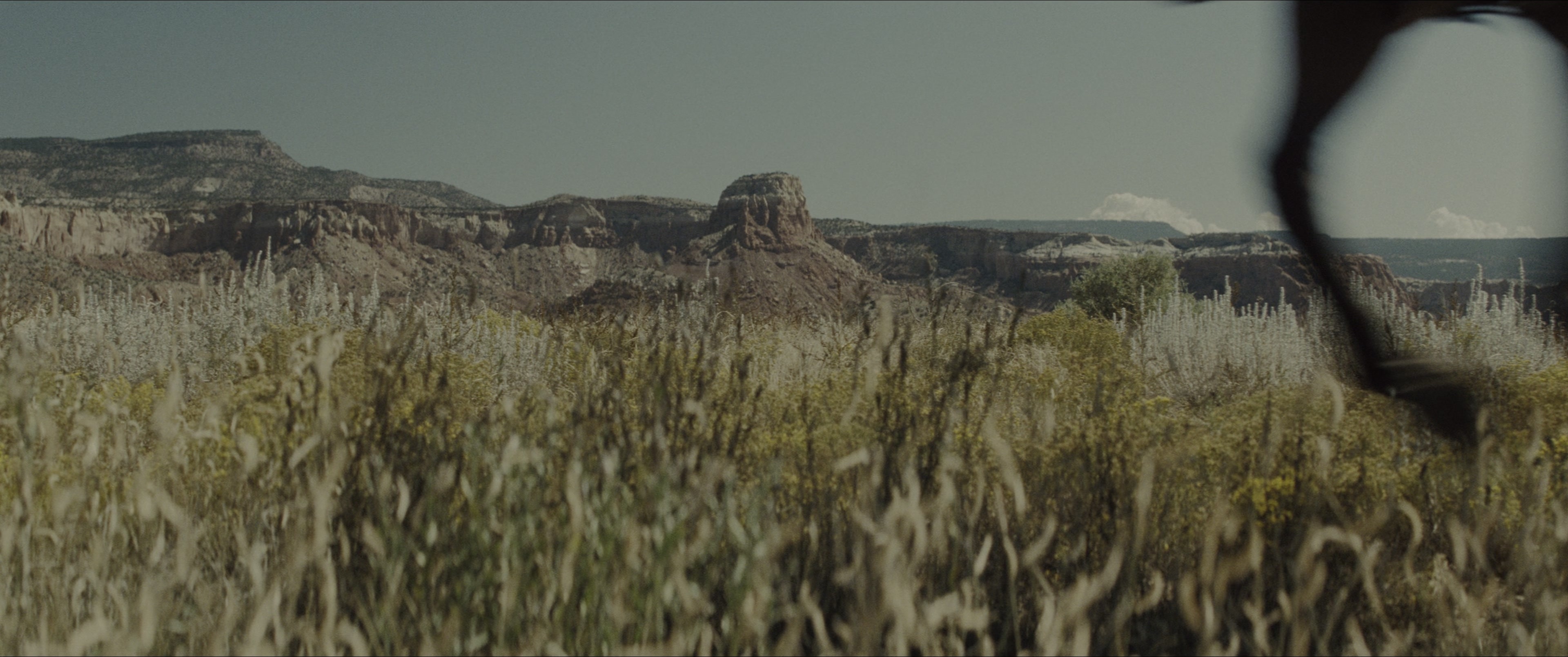 The Magnificent Seven (2016), wide, 2.39:1 — film still