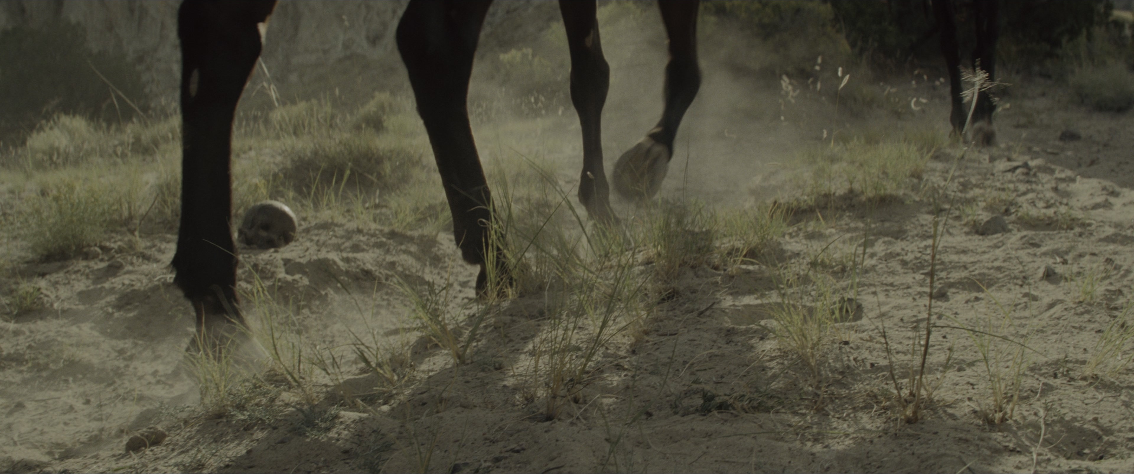 The Magnificent Seven (2016), wide, 2.39:1 — film still