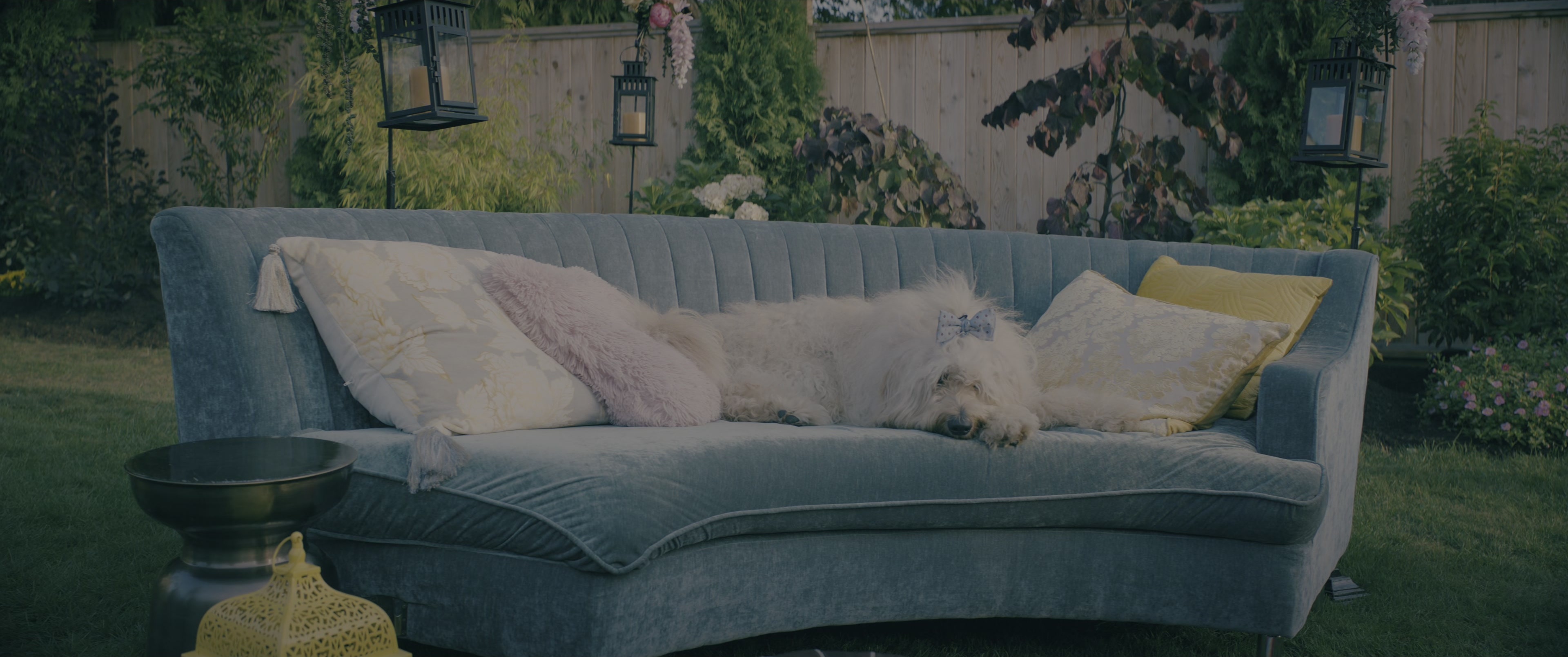 To All the Boys: Always and Forever (2021), wide, 2.39:1 — film still