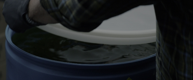 seria-115949.jpg