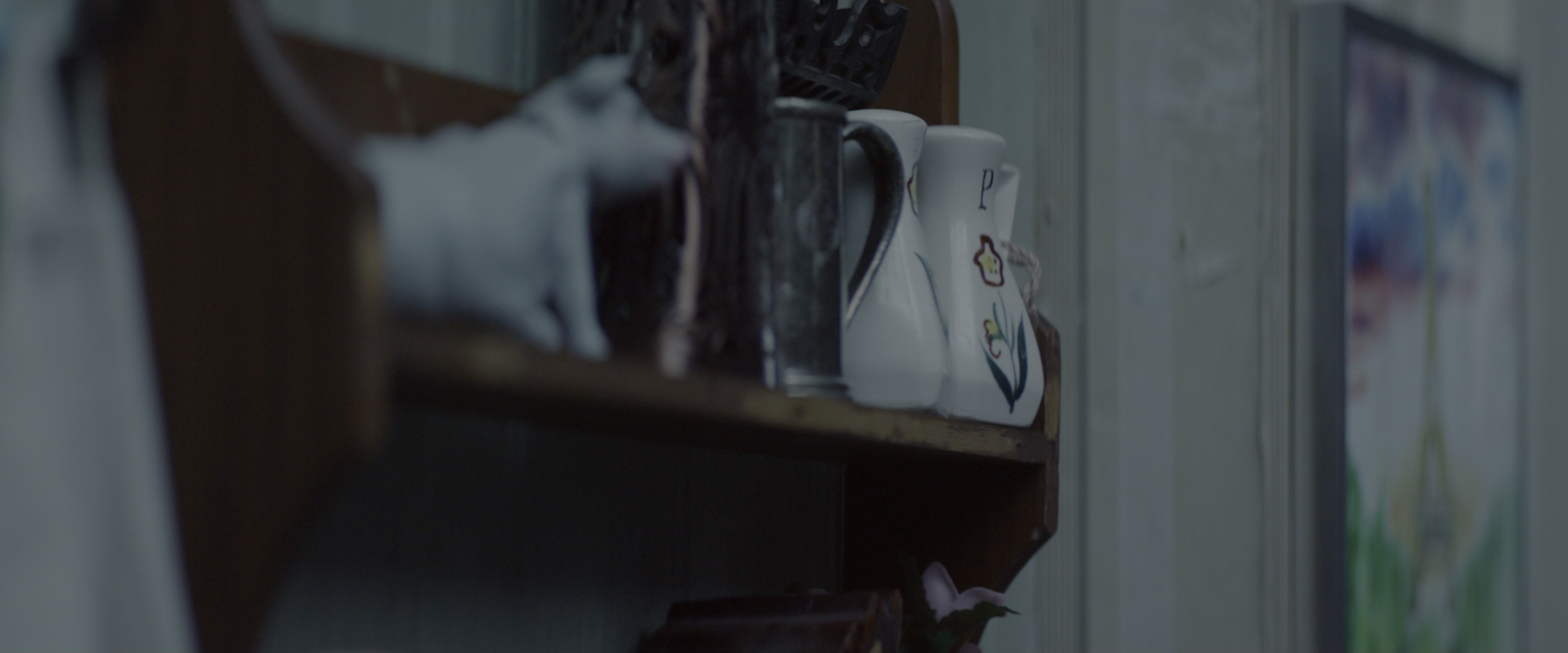 10 Cloverfield Lane (2016), unknown, 2.40:1 — film still