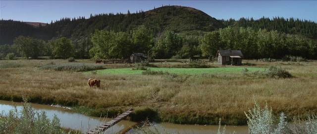 Frame from Unforgiven — animal, running