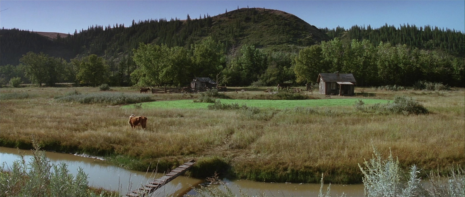 Unforgiven (1992), unknown, 2.36:1 — film still