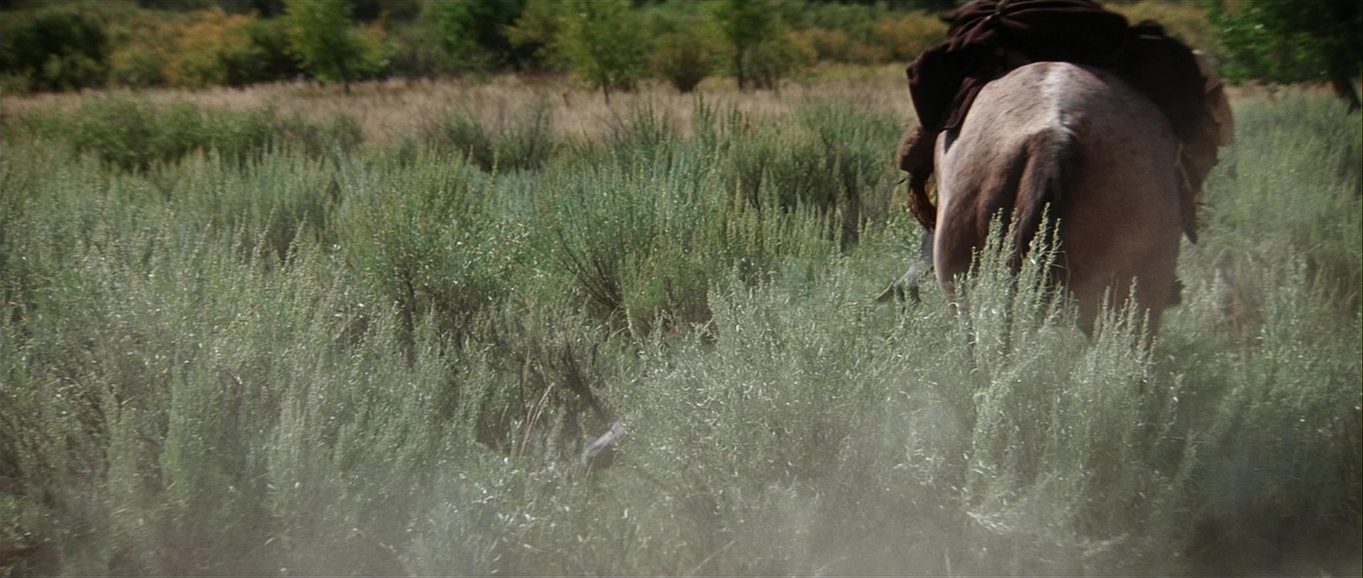 Unforgiven (1992), unknown, 2.36:1 — film still