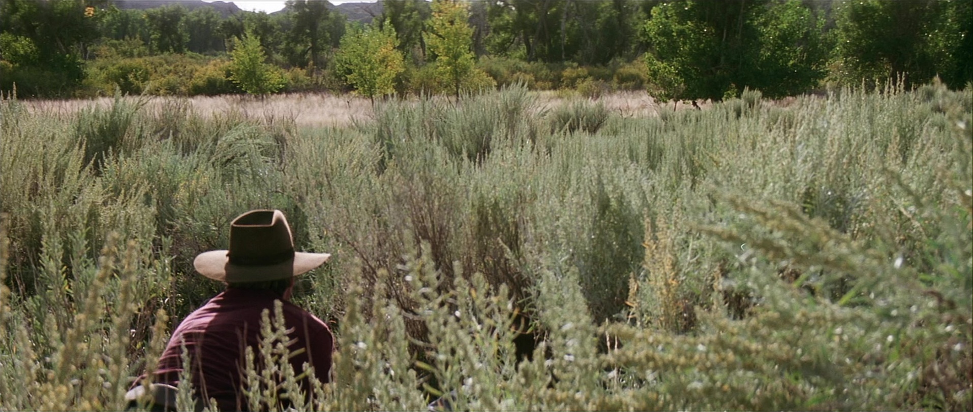 Unforgiven (1992), wide, 2.36:1 — film still