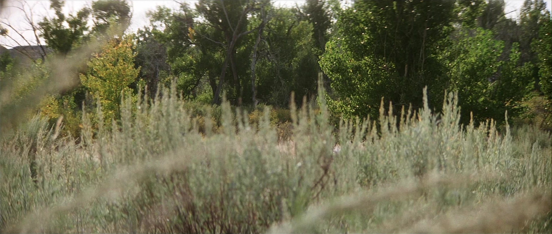 Unforgiven (1992), wide, 2.36:1 — film still