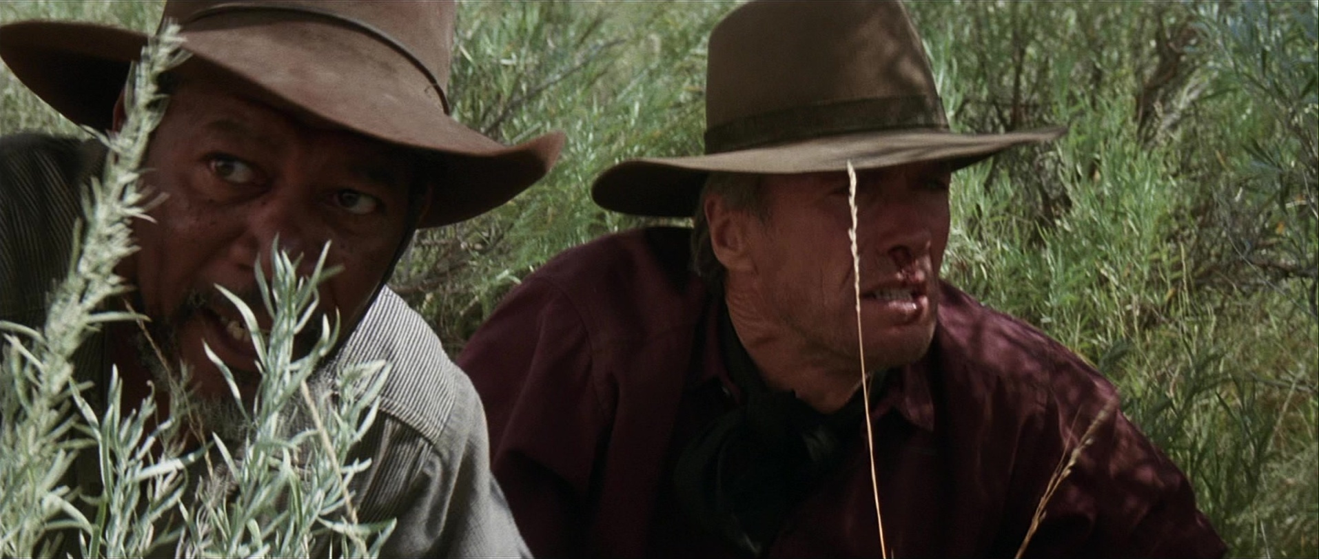 Unforgiven (1992), wide, 2.36:1 — film still