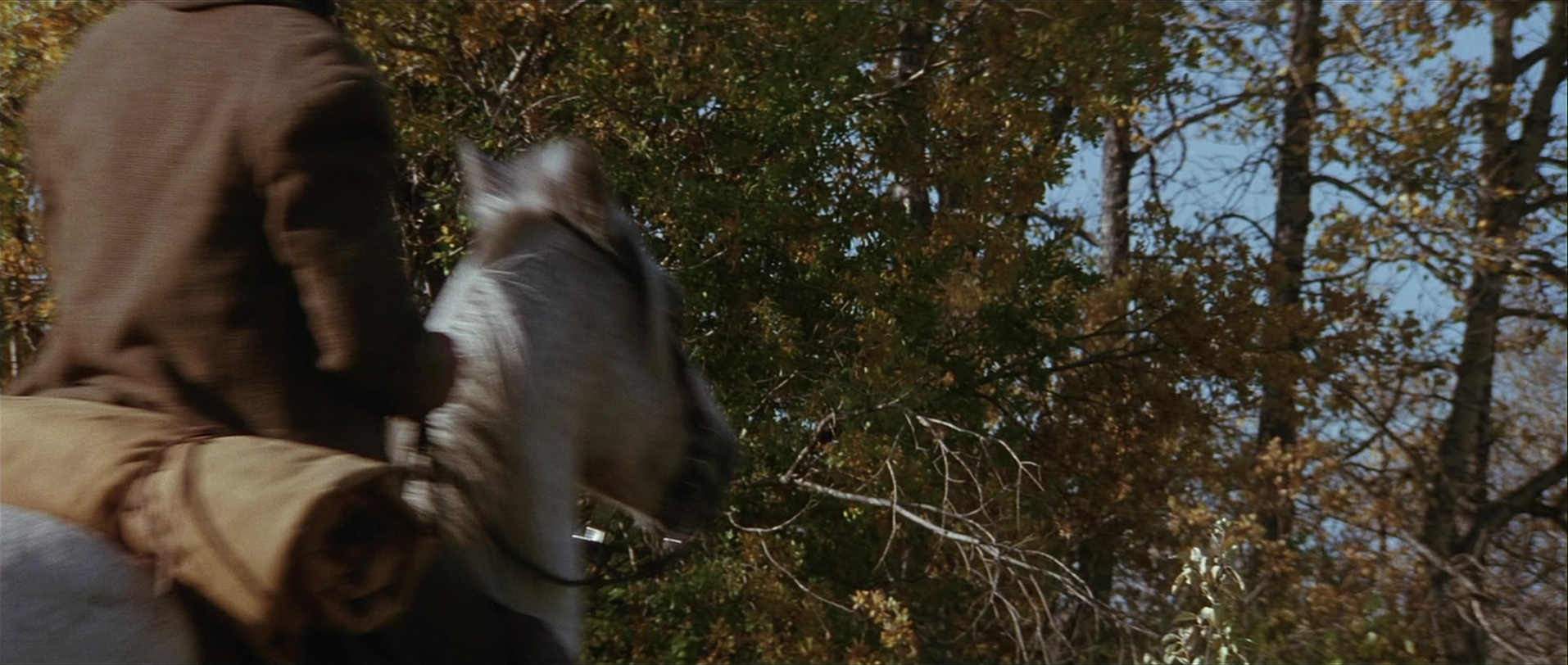 Unforgiven (1992), wide, 2.36:1 — film still