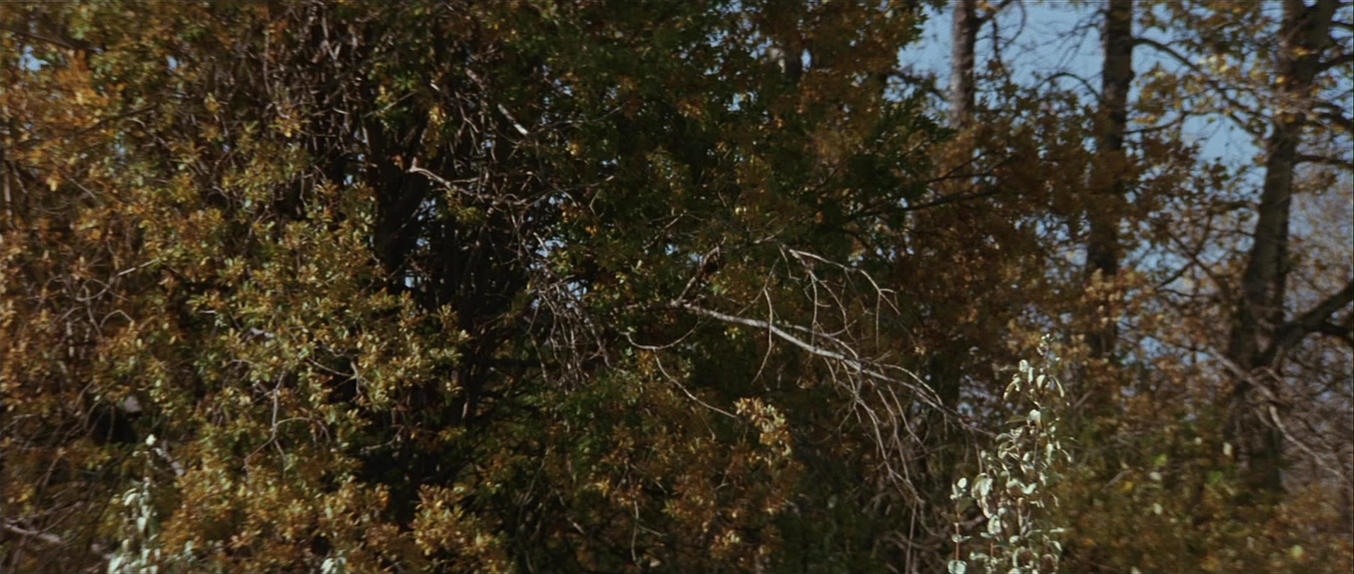 Unforgiven (1992), wide, 2.36:1 — film still