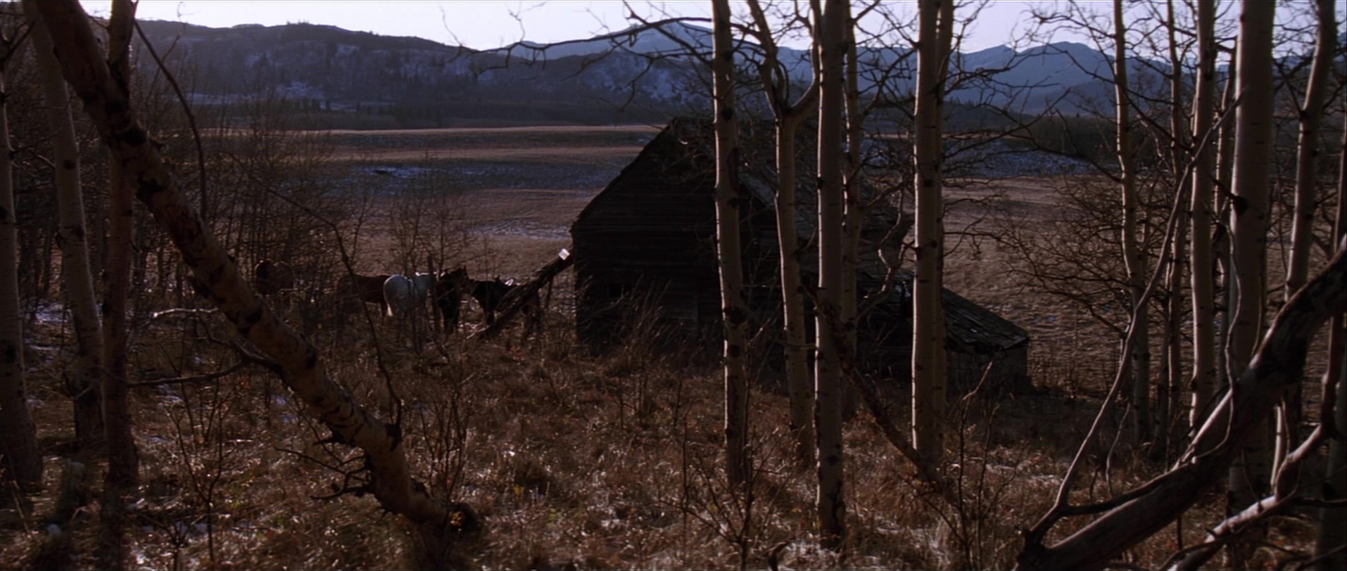 Unforgiven (1992), wide, 2.36:1 — film still