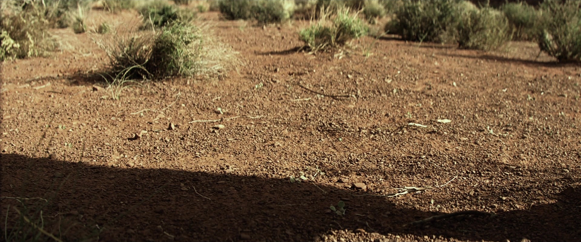 The Lone Ranger (2013), unknown, 2.40:1 — film still