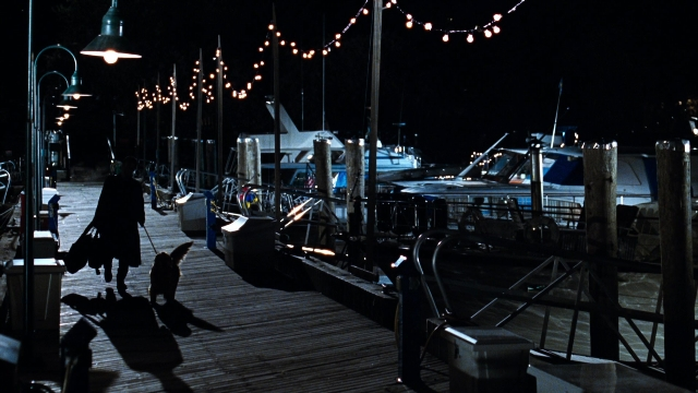 Frame from You've Got Mail — walking, street, dog
