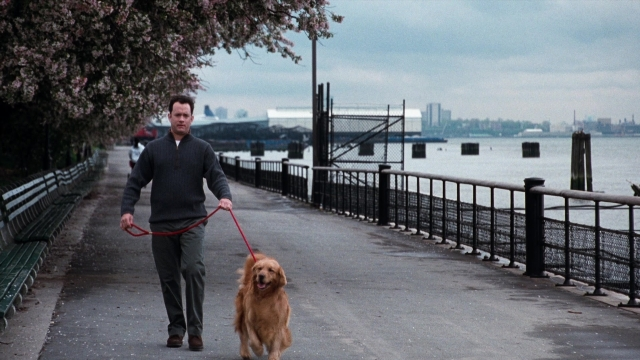 Wide shot frame from You've Got Mail — walking, street, dog