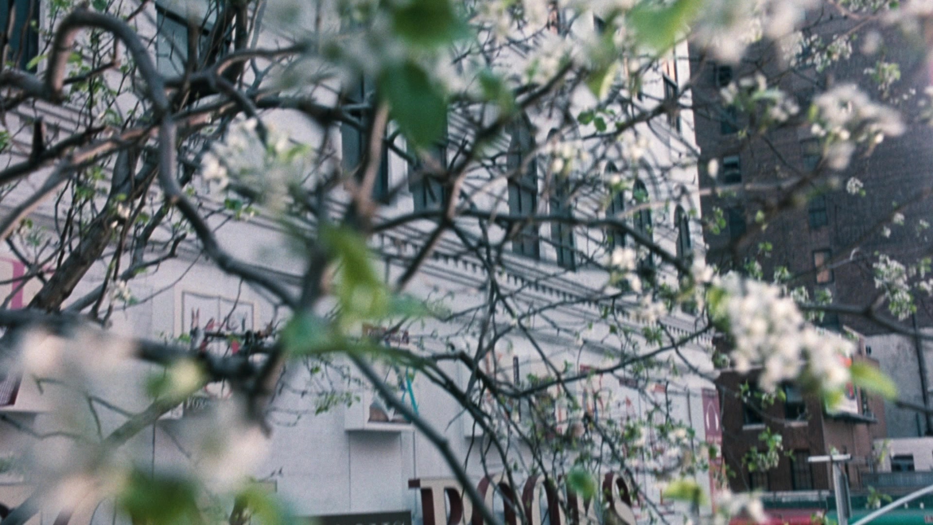 You've Got Mail (1998), wide, 1.78:1 — film still