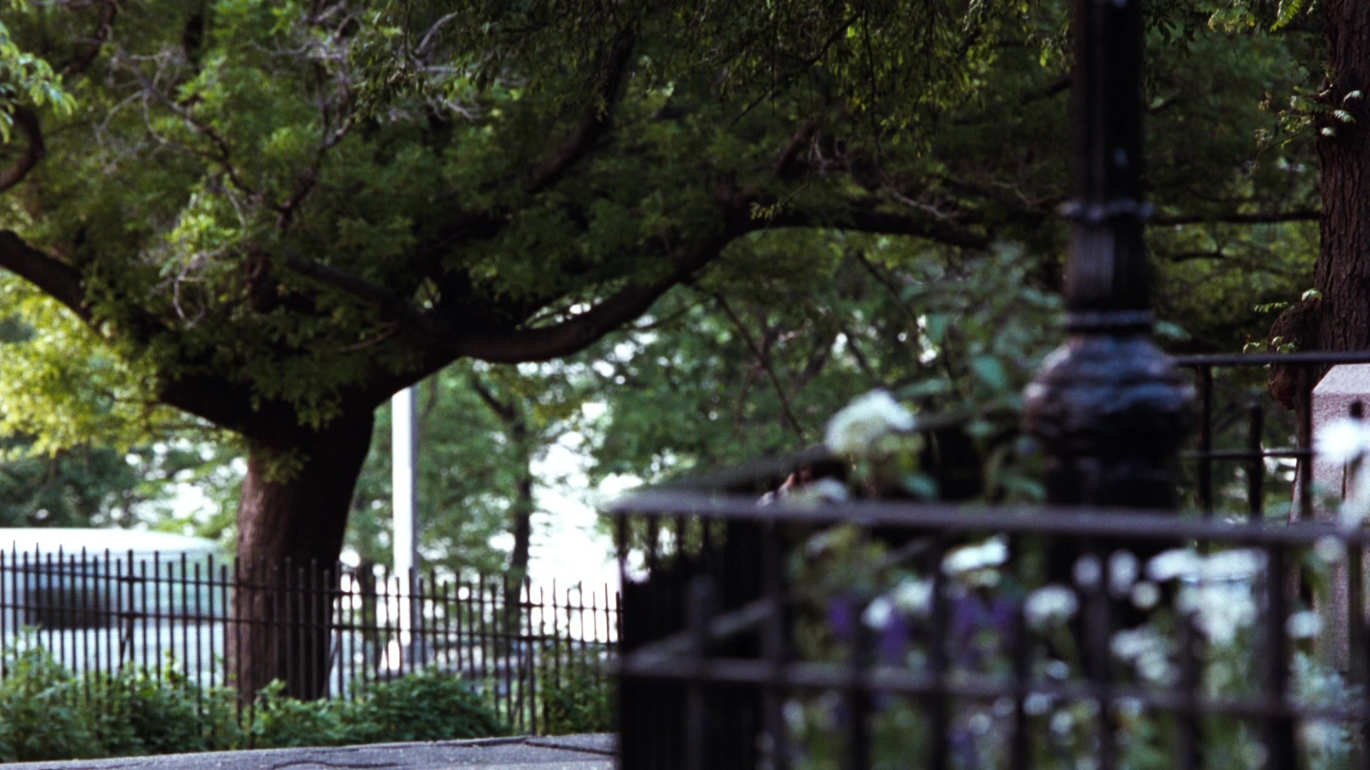 You've Got Mail (1998), wide, 1.78:1 — film still