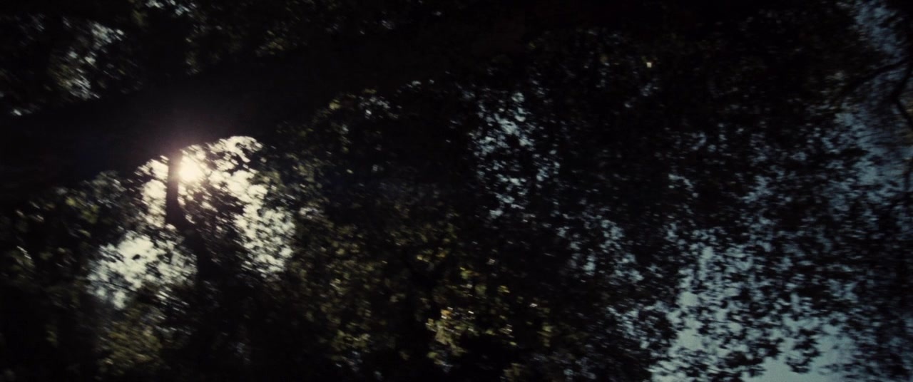 Supremacy (2014), wide, 2.39:1 — film still
