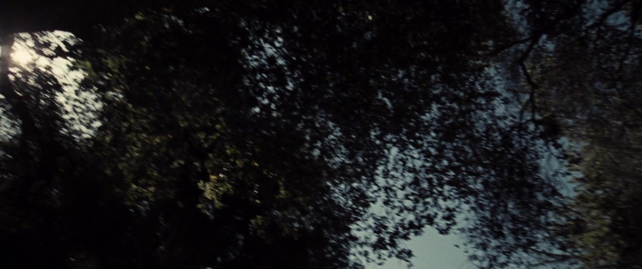 Supremacy (2014), wide, 2.39:1 — film still