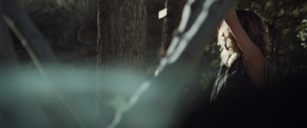 Supremacy (2014), wide, 2.39:1 — film still