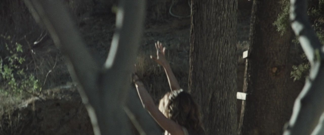 Supremacy (2014), medium, 2.39:1 — film still