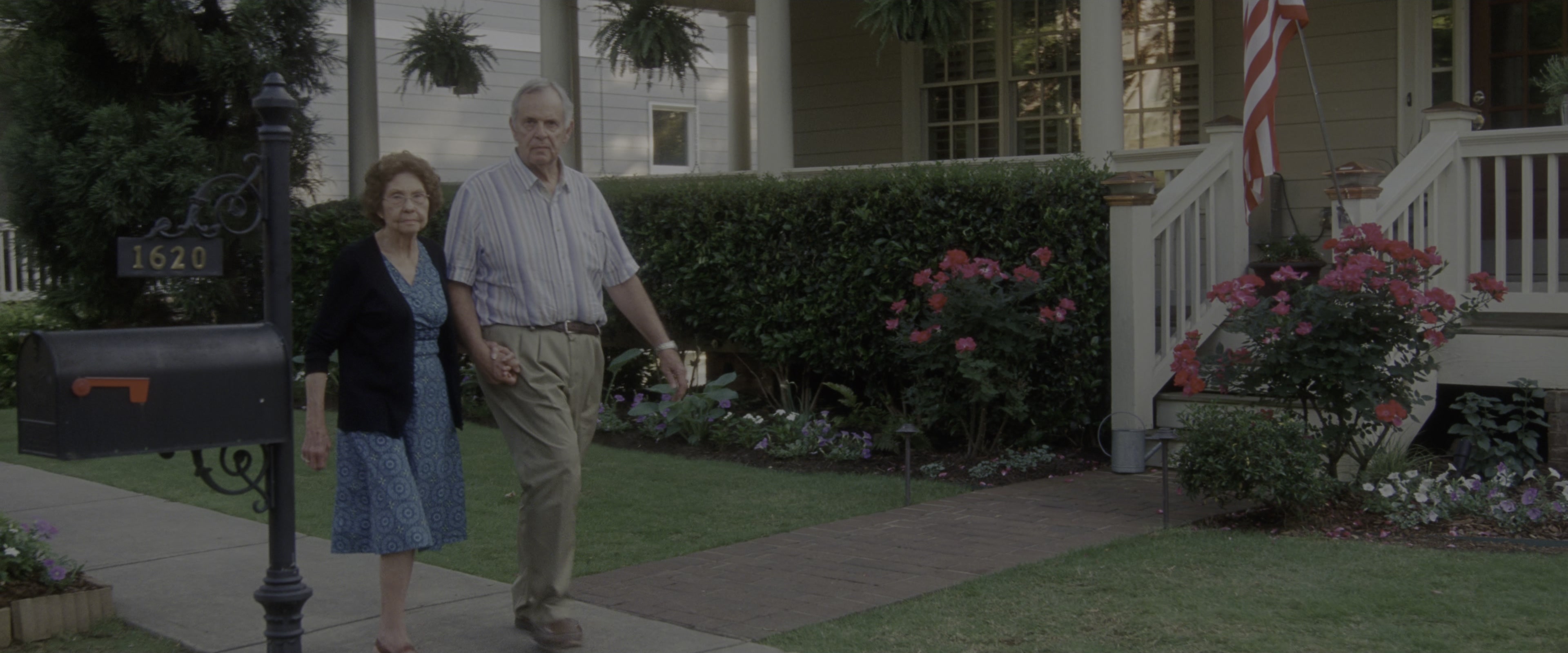 Keeping Up with the Joneses (2016), wide, 2.40:1 — film still