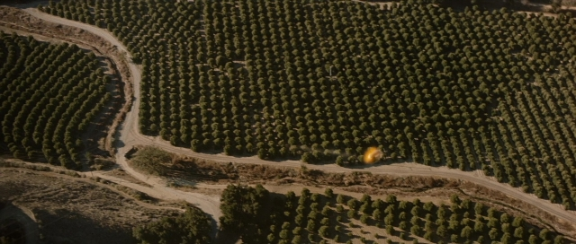 Wide shot frame from The Rocketeer — street, flower, forest