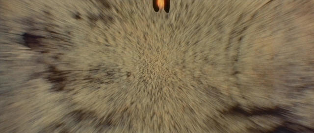 Frame from The Rocketeer — animal