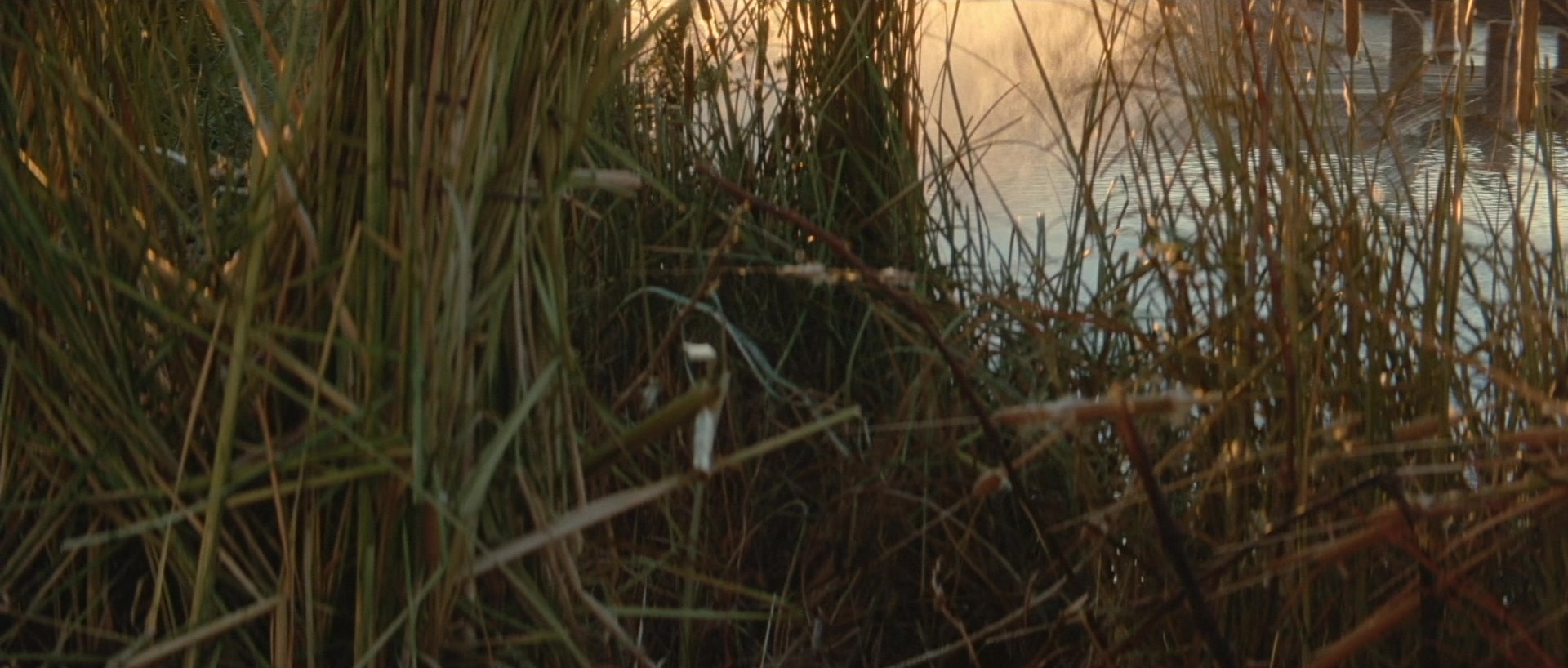 The Rocketeer (1991), wide, 2.35:1 — film still