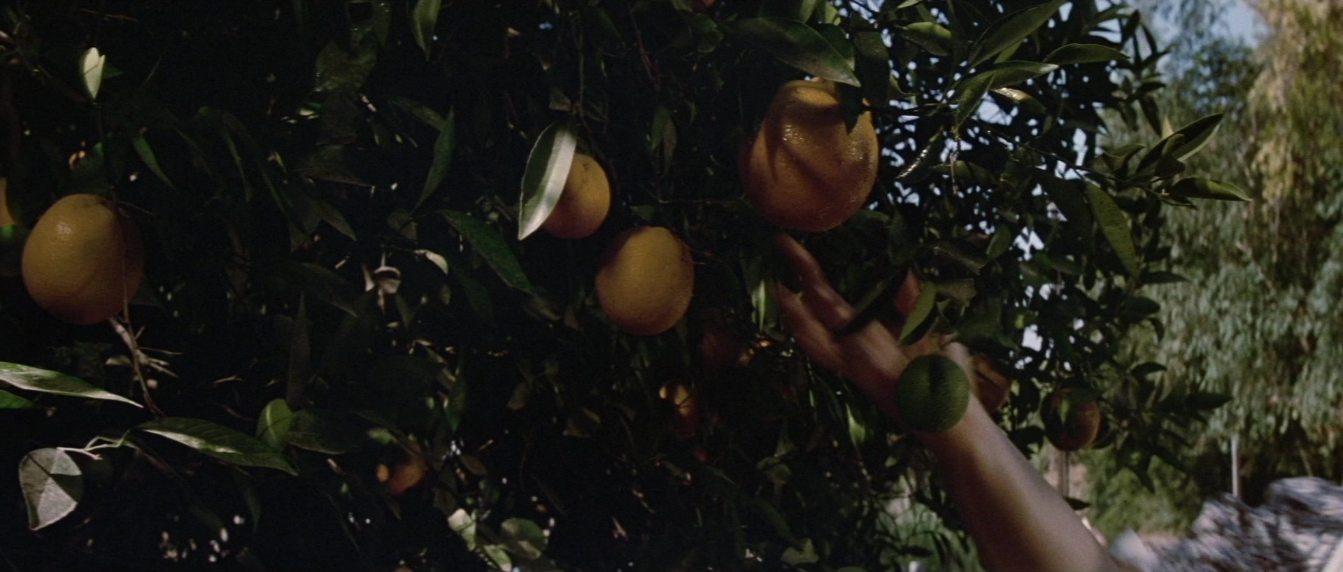 The Rocketeer (1991), wide, 2.35:1 — film still